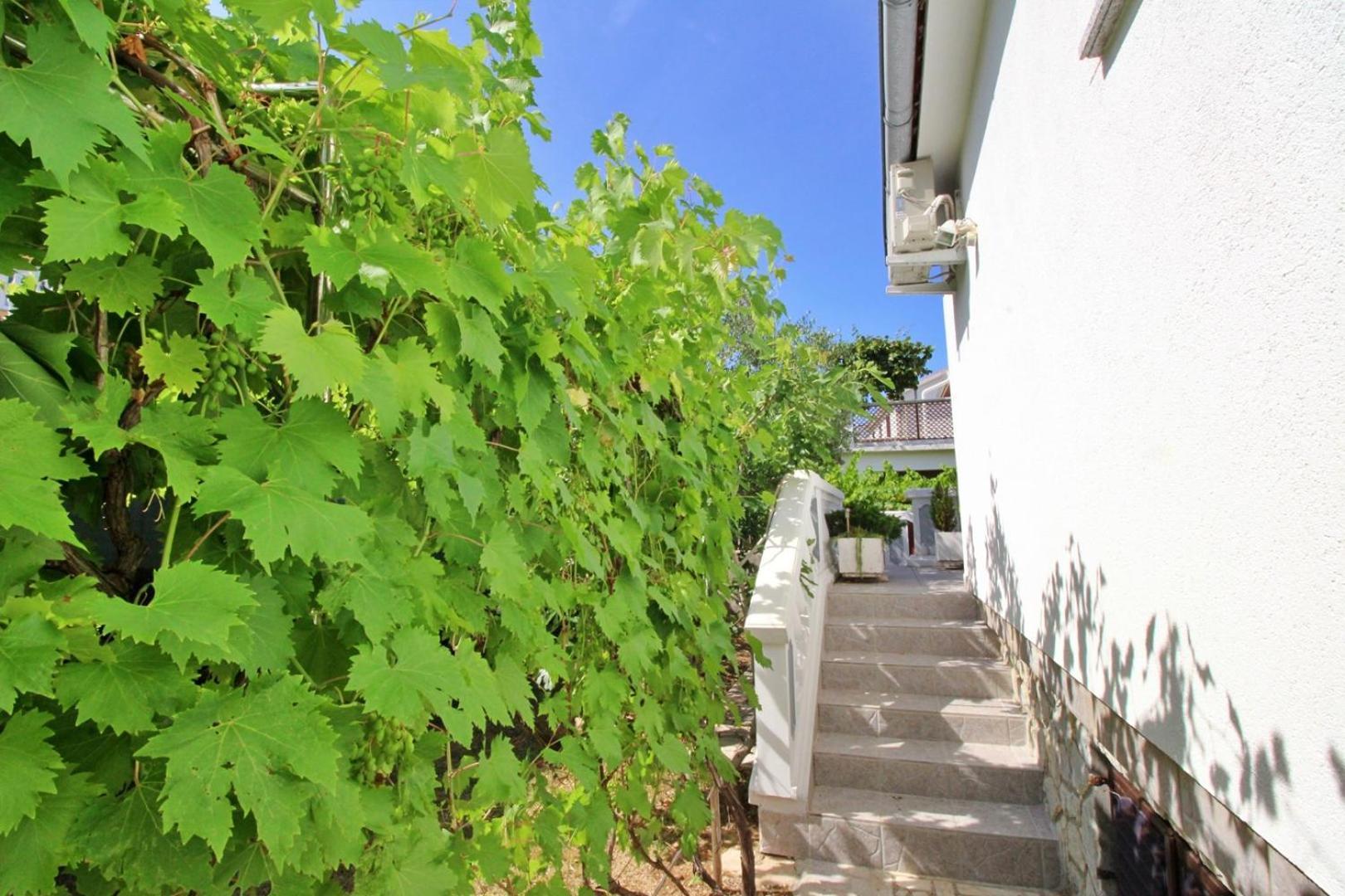 Apartments Zlatica Šilo Exterior foto